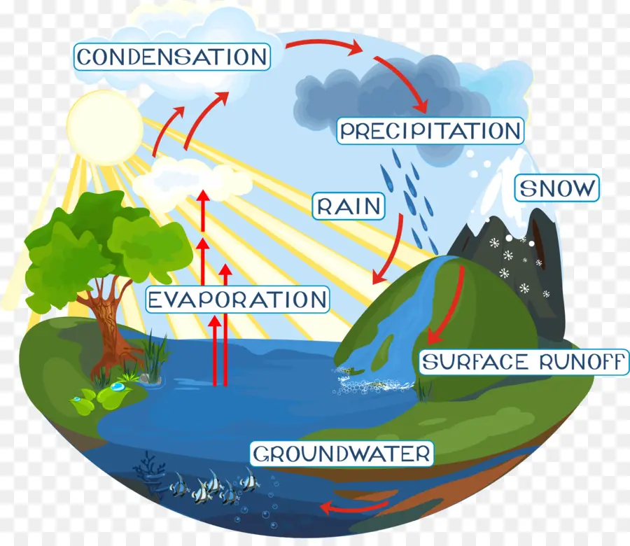 Cycle De L Eau，Diagramme PNG