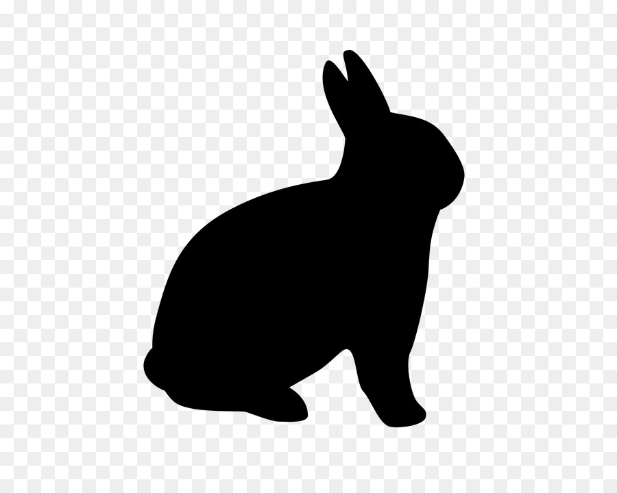 Silhouette De Lapin，Carotte PNG