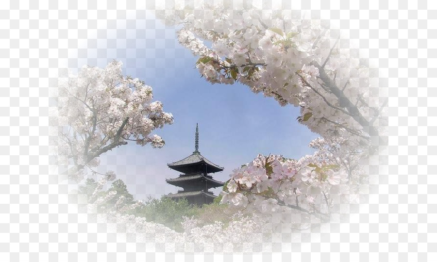 Pagode Japonaise，Fleurs De Cerisier PNG