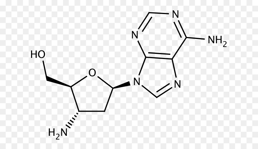 Cyclohexanol，Amine PNG