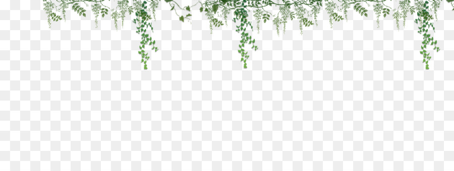 Vignes Vertes，Feuilles PNG