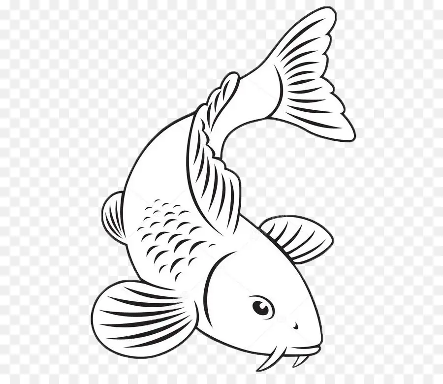 Poisson Koi，Noir Et Blanc PNG