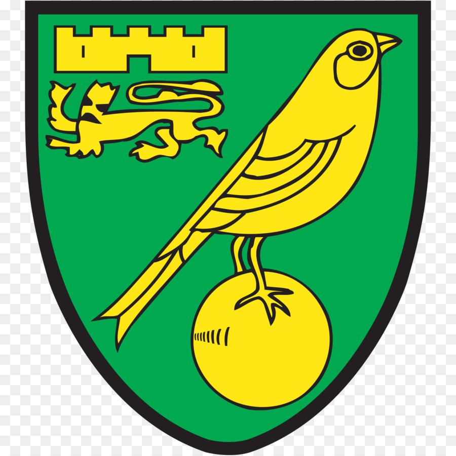 Norwich City Fc，Football PNG