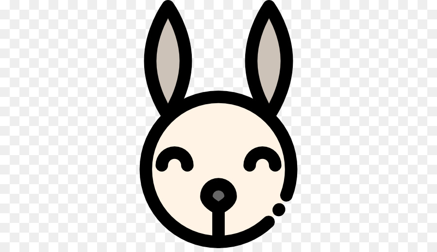 Visage De Lapin，Lapin PNG