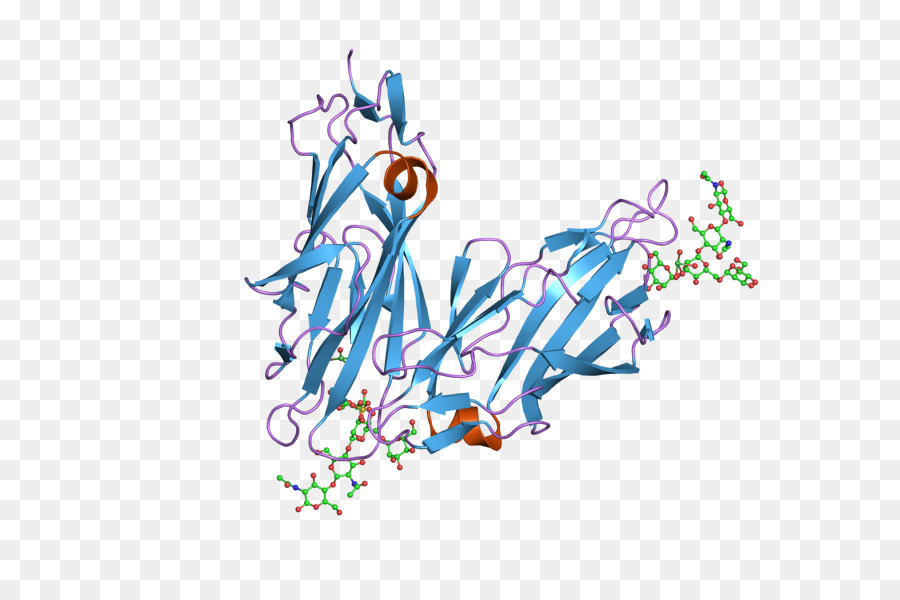 Structure Des Protéines，Molécule PNG