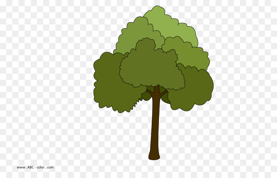 Arbre，Feuilles PNG