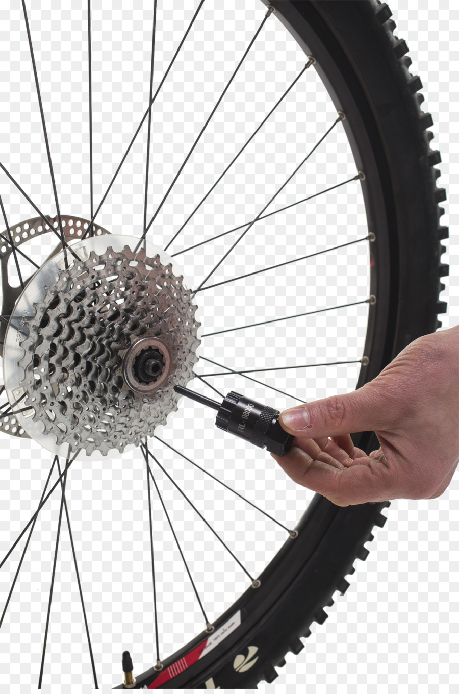 Les Roues De Vélo，Parlé PNG