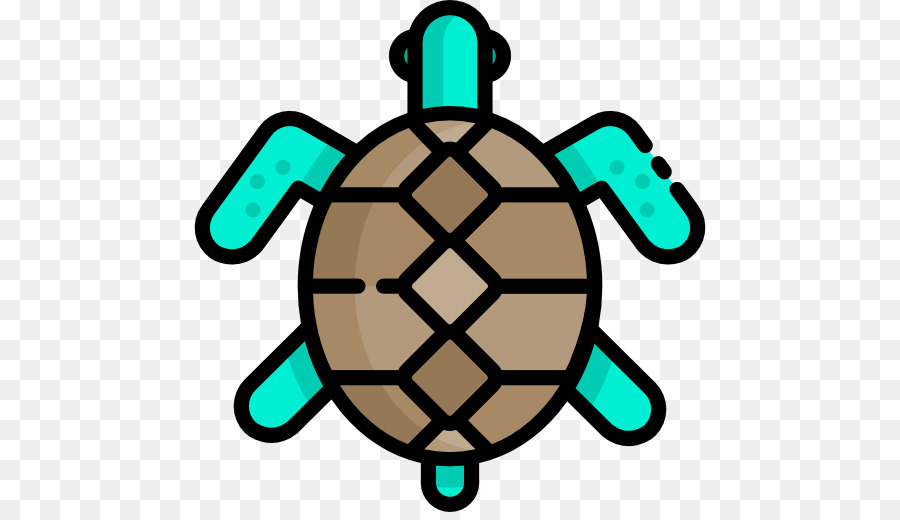 Tortue，Reptile PNG