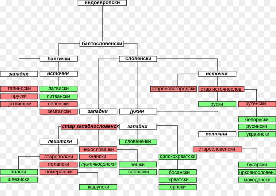 Arbre De Langue，Linguistique PNG