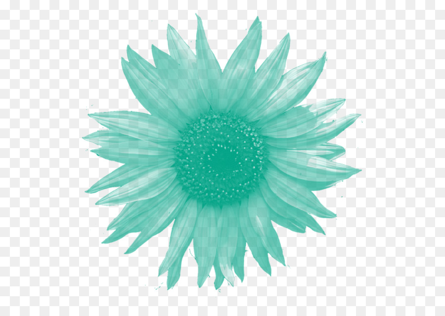 Fleur，Fleurir PNG