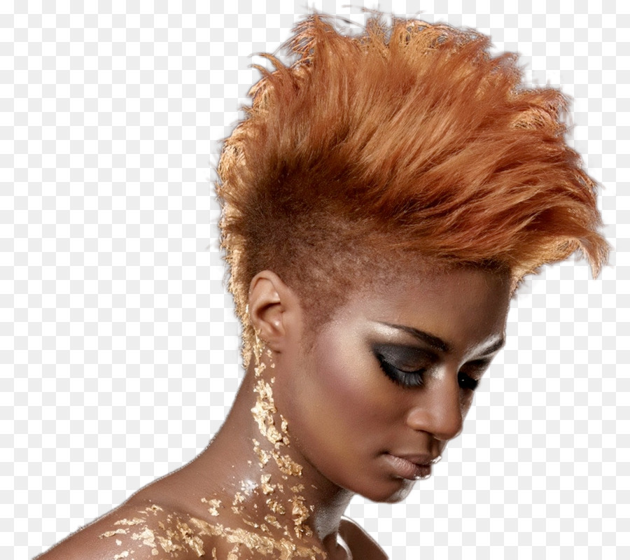 Les Cheveux Longs，Salon De Coiffure PNG