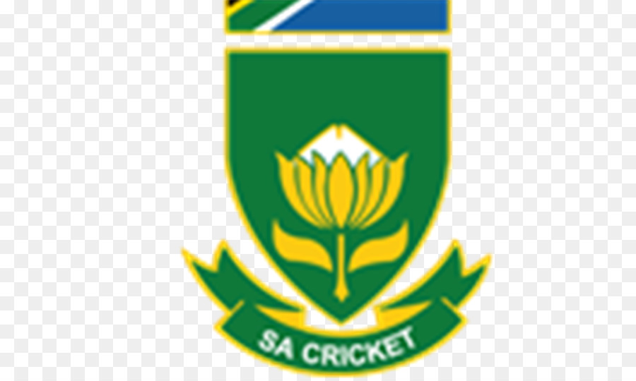 National Sud Africain L équipe De Cricket，Maillot De L équipe De Cricket PNG