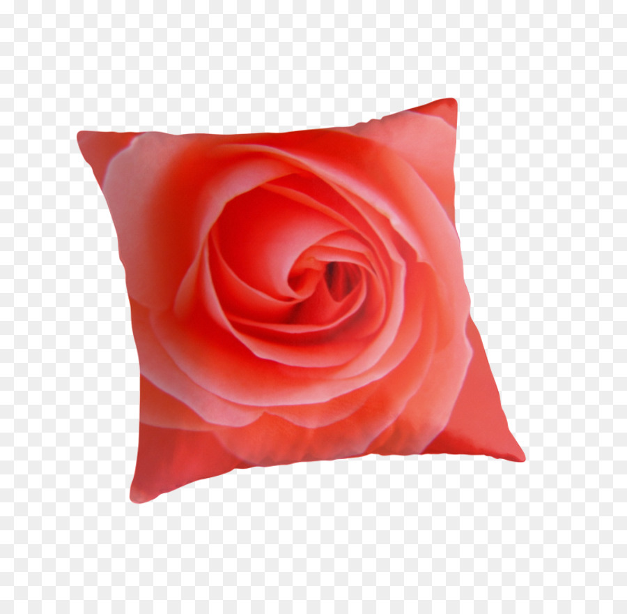 Les Roses De Jardin，Les Coussins PNG