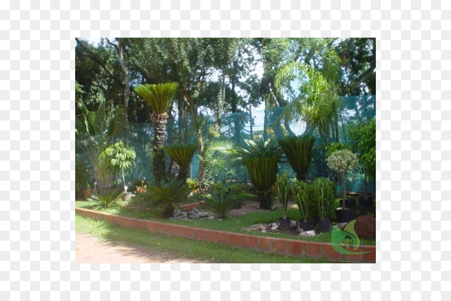 Jardin Majorelle，Jardin Botanique PNG