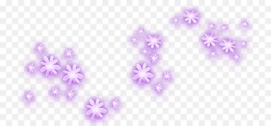 Fleurs Violettes，Fleurir PNG