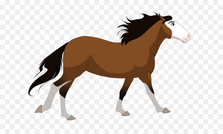 Cheval Qui Court，Animal PNG