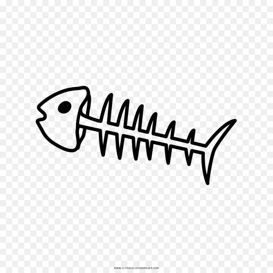 Squelette De Poisson，Os PNG