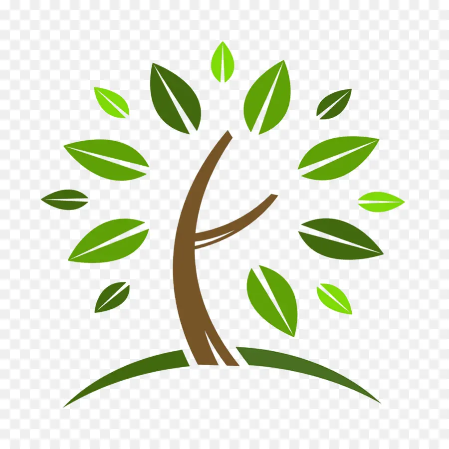 Arbre Vert，Usine PNG