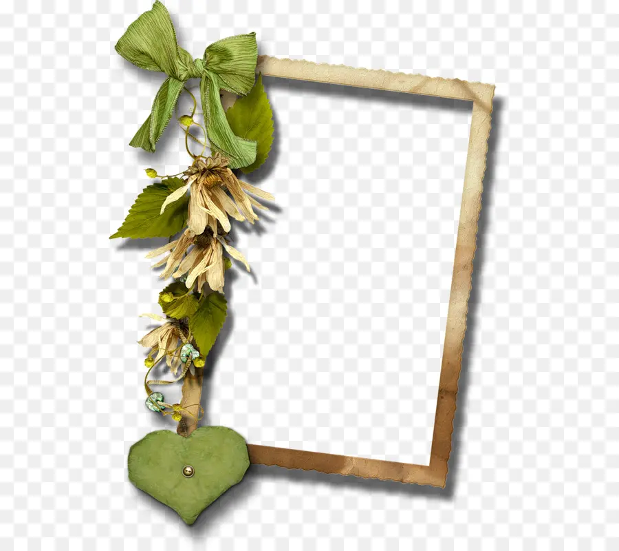 Cadre Photo，Fleurs PNG