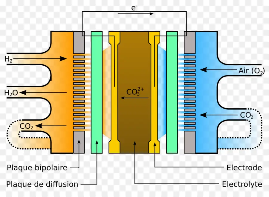 Protonexchange Membrane De Pile à Combustible，Recherche PNG