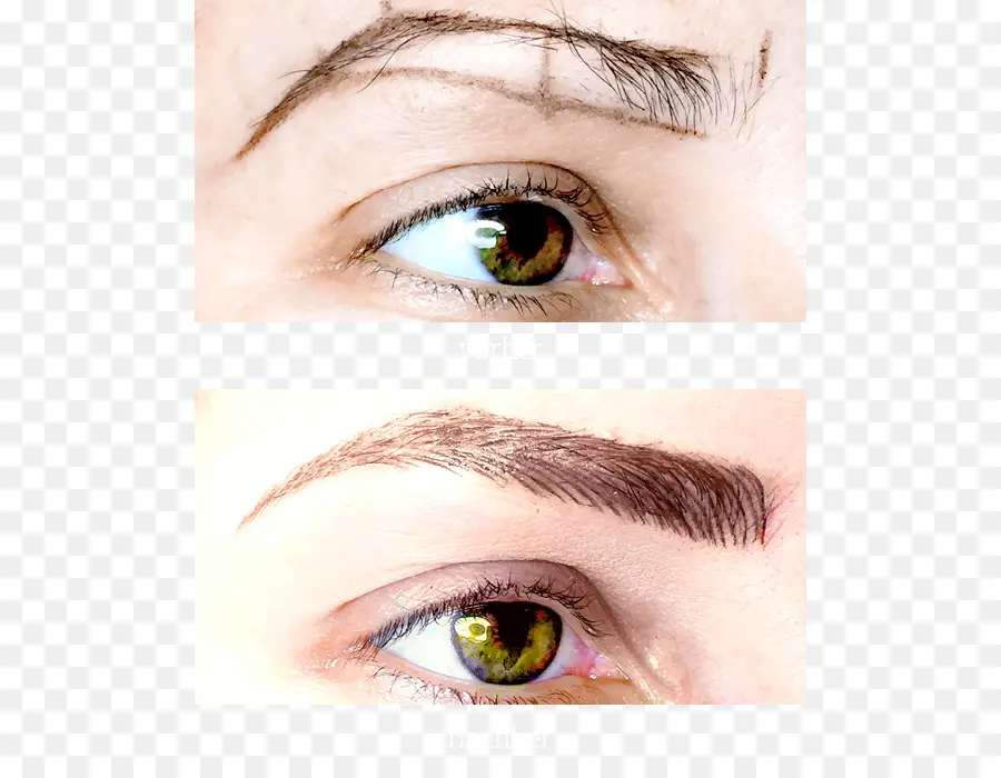 Microblading，Le Maquillage Permanent PNG