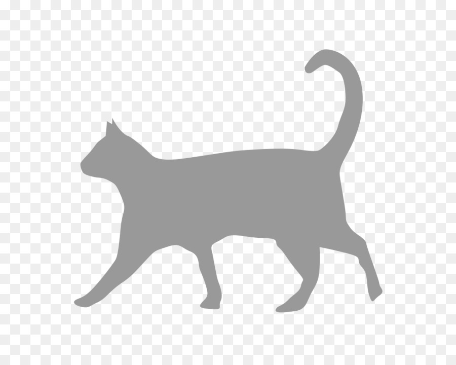 Silhouette De Chat，Félin PNG