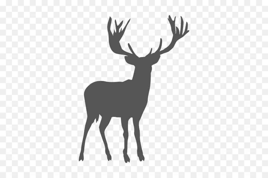 Cerf，Bois PNG