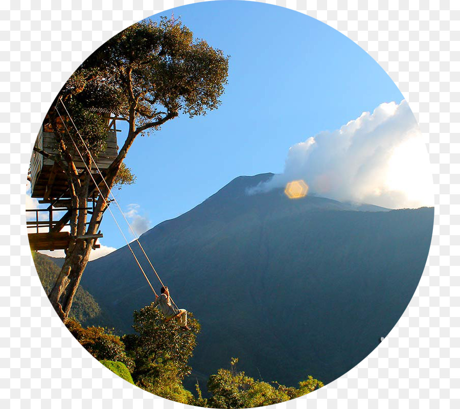 Balancer Sur La Montagne，Arbre PNG