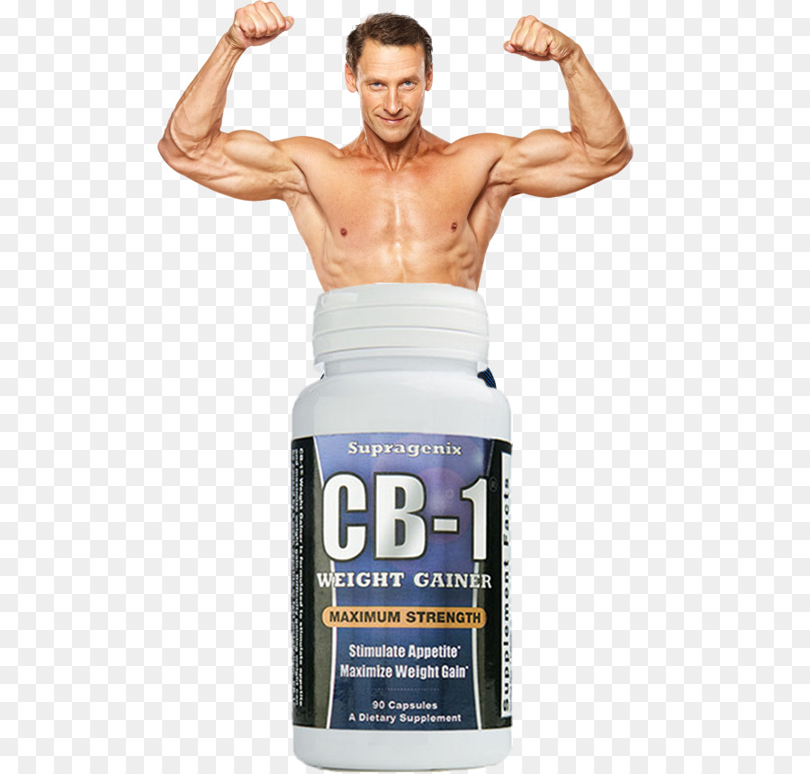 Complément Alimentaire，Muscle PNG