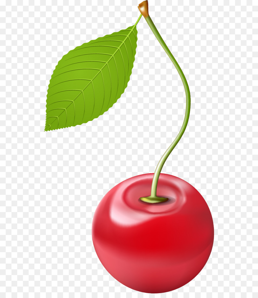 Cerise，Fruit PNG