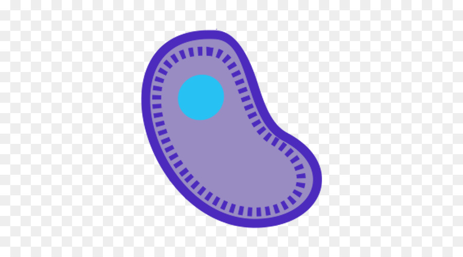 Montre，Horloge PNG