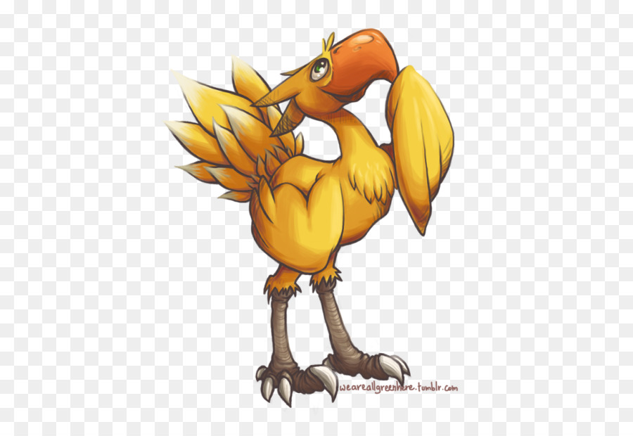 Coq，Bec PNG