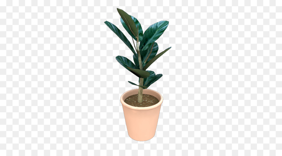 Plante En Pot，Vert PNG