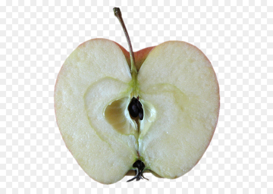 Pomme，Télécharger PNG