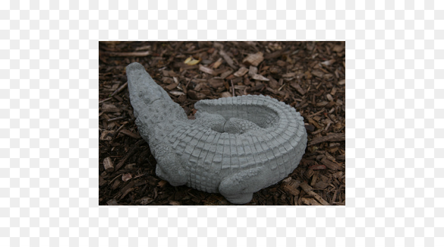 Béton，Les Alligators PNG