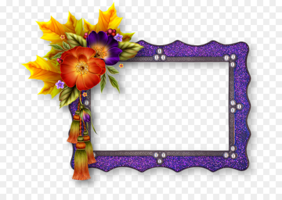 Cadre Décoratif，Fleurs PNG