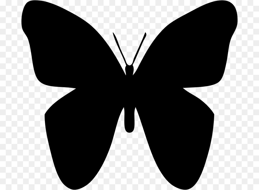 Papillon Noir，Insecte PNG