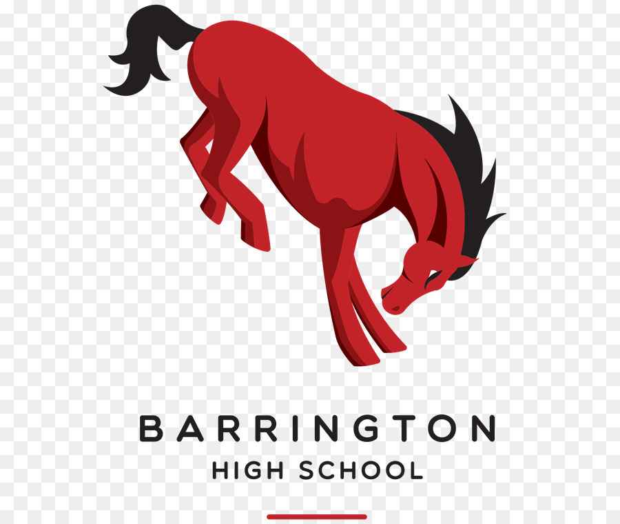 Barrington Lycée，Barrington 220 District Scolaire PNG
