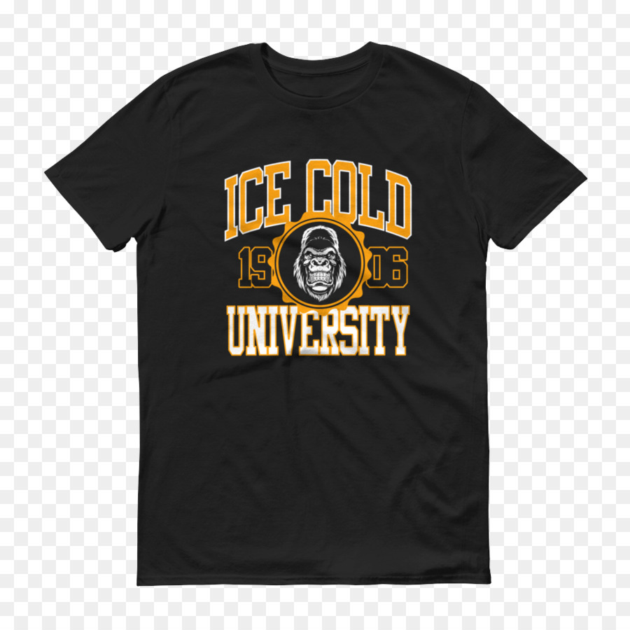 Tshirt，L Université Du Colorado à Boulder PNG