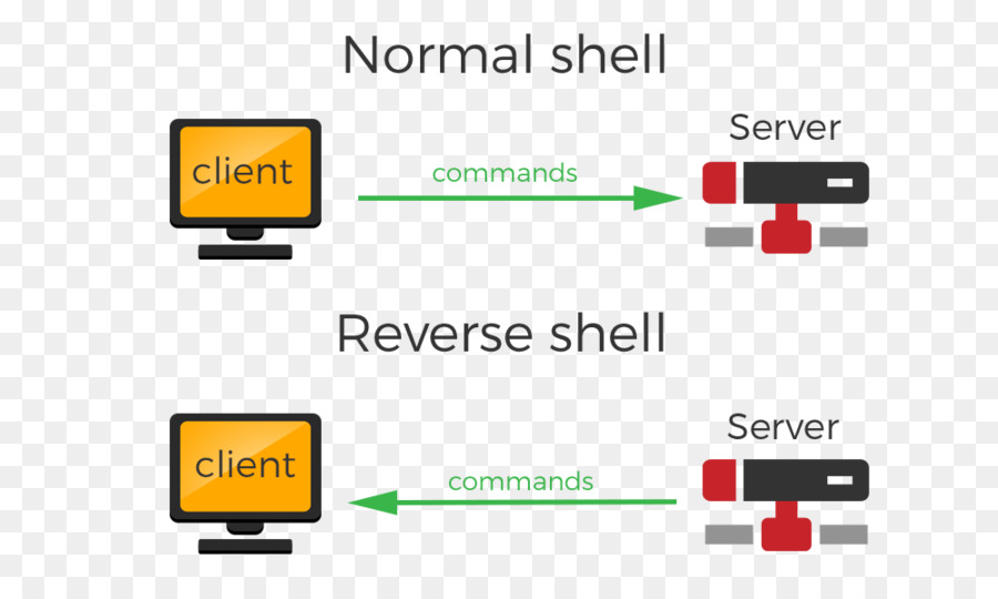 Shell，Shell Pelleter PNG