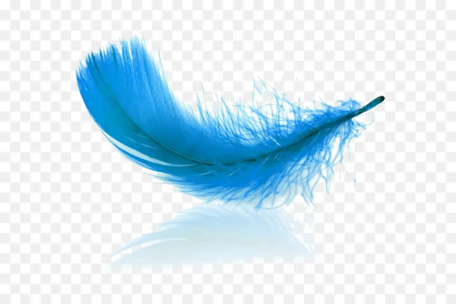 Plume，Bleu PNG