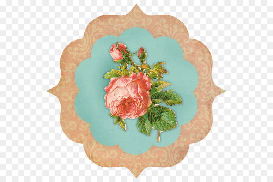 Rose，Design Floral PNG