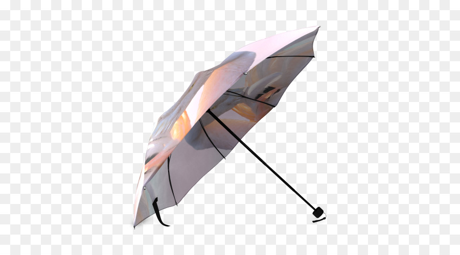 Teckel，Parapluie PNG
