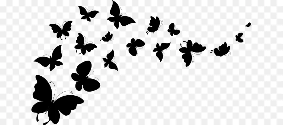 Papillons Noirs，Insecte PNG