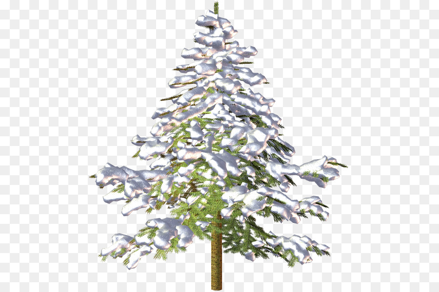 Arbre De Noël Enneigé，Neige PNG