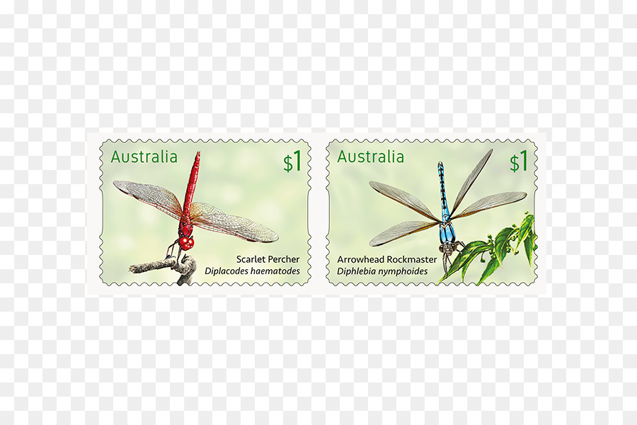 Timbres Poste，Libellule PNG