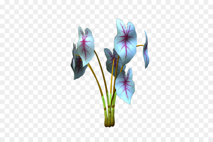 Violet，Couper Les Fleurs PNG