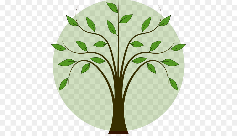 Arbre，Feuilles PNG