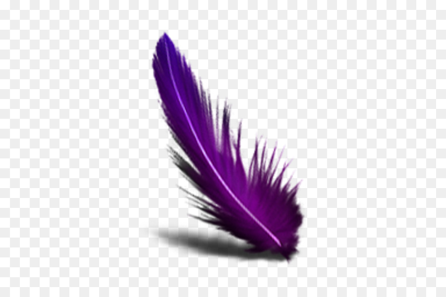 Plume，Couleur PNG