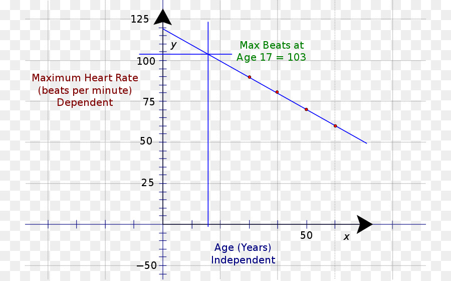 Représentation Graphique D Une Fonction，La Fréquence Cardiaque PNG